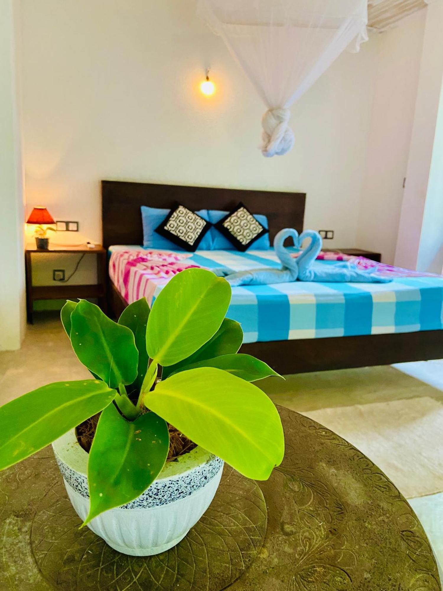 טנגלה Mountain Seaview Cabanas מראה חיצוני תמונה